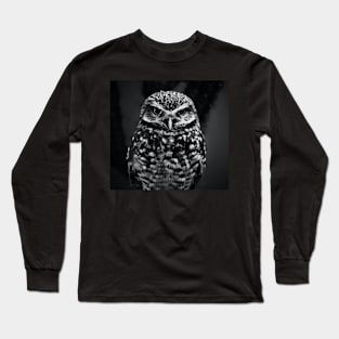 Owl 3D Long Sleeve T-Shirt